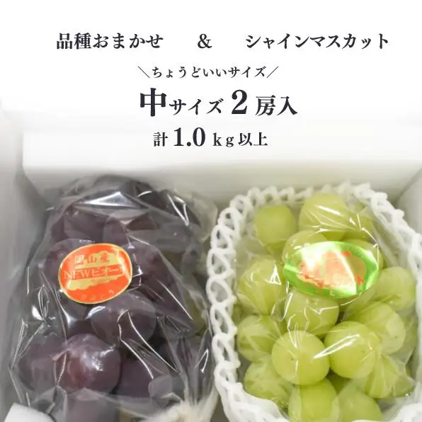 シャインマスカット 岡山県産シャインマスカット＆生産者いちおしぶどう2房入計1.0kg～ 【KF-B010-04】