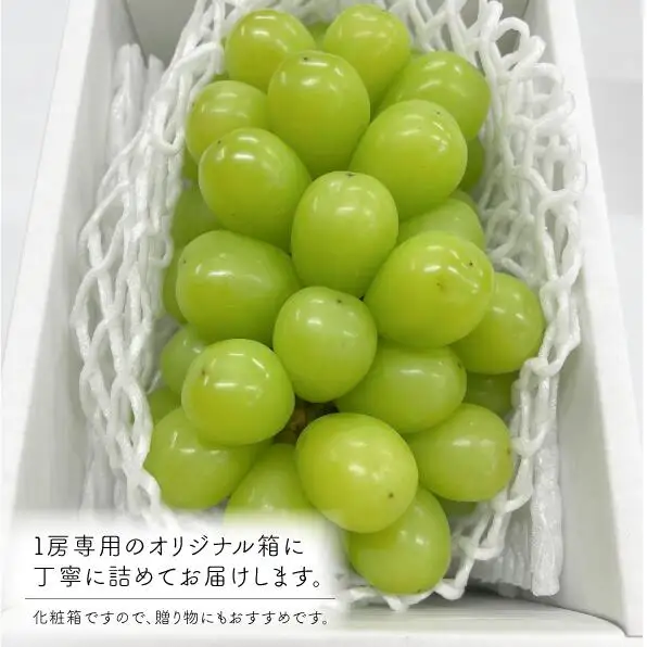 大粒シャインマスカット 厳選品1房 700g以上 (岡山県産)【KF-B013-03】