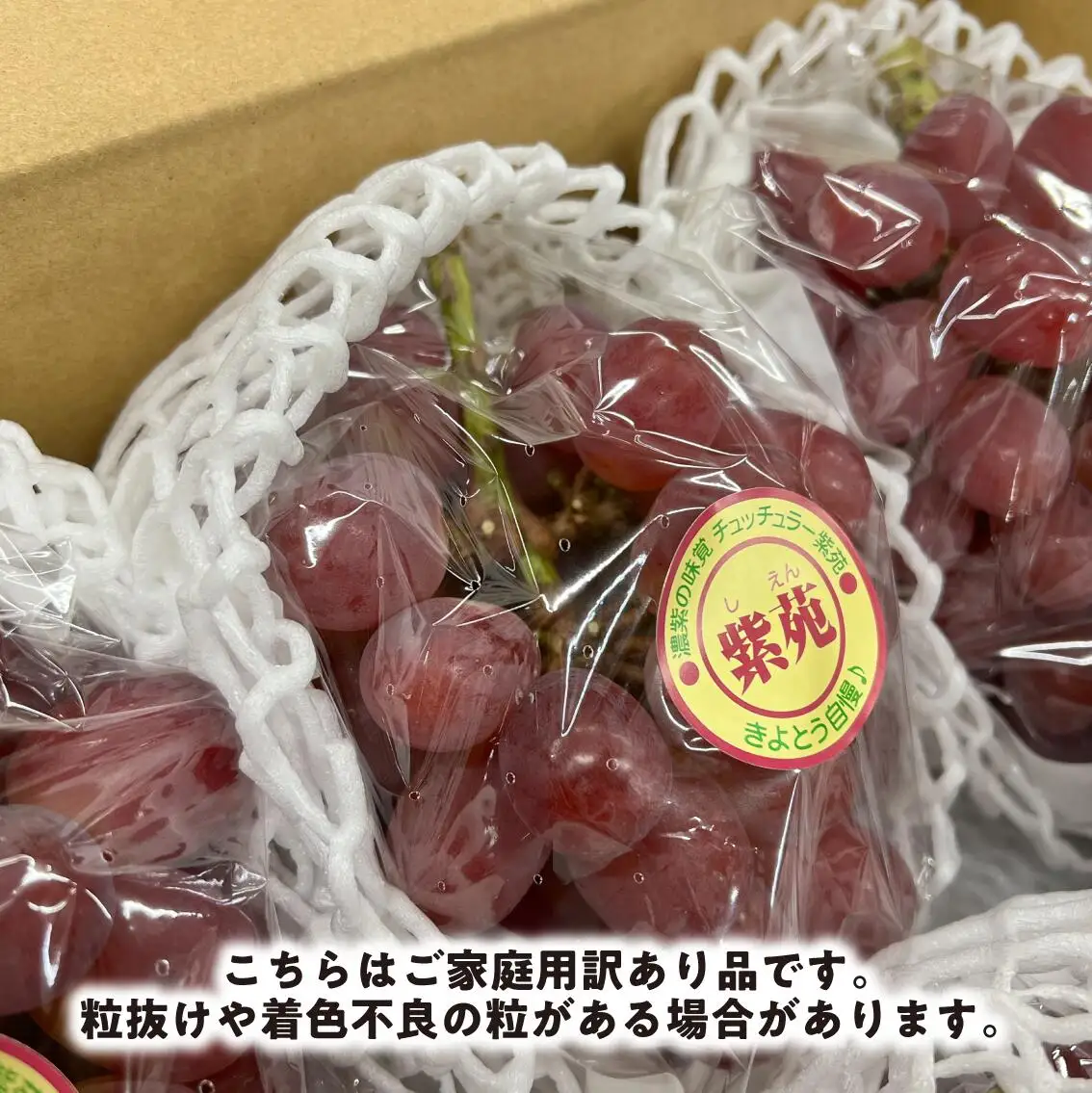 訳あり ぶどう 岡山県産 ご家庭用ぶどう紫苑(しえん)約2.2kg 【KF-B085-03】