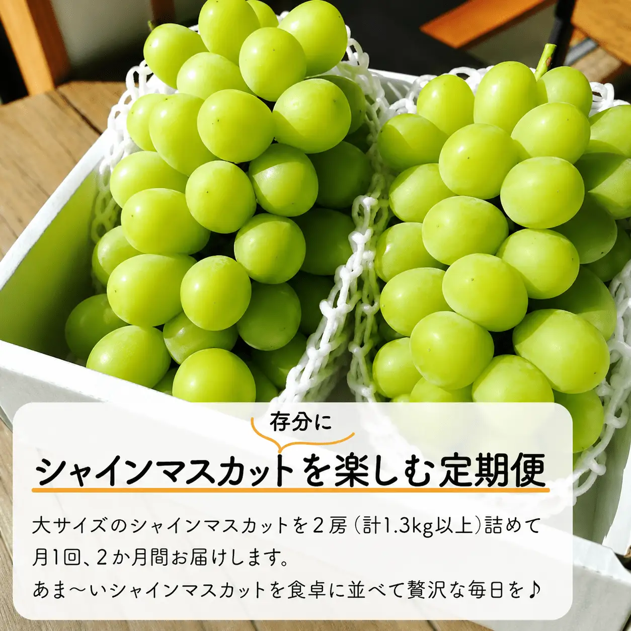 【二回定期便 】 シャインマスカット 岡山県産特大シャインマスカット２房×２回/全便計2.6kg～ 【KF-T044-03】