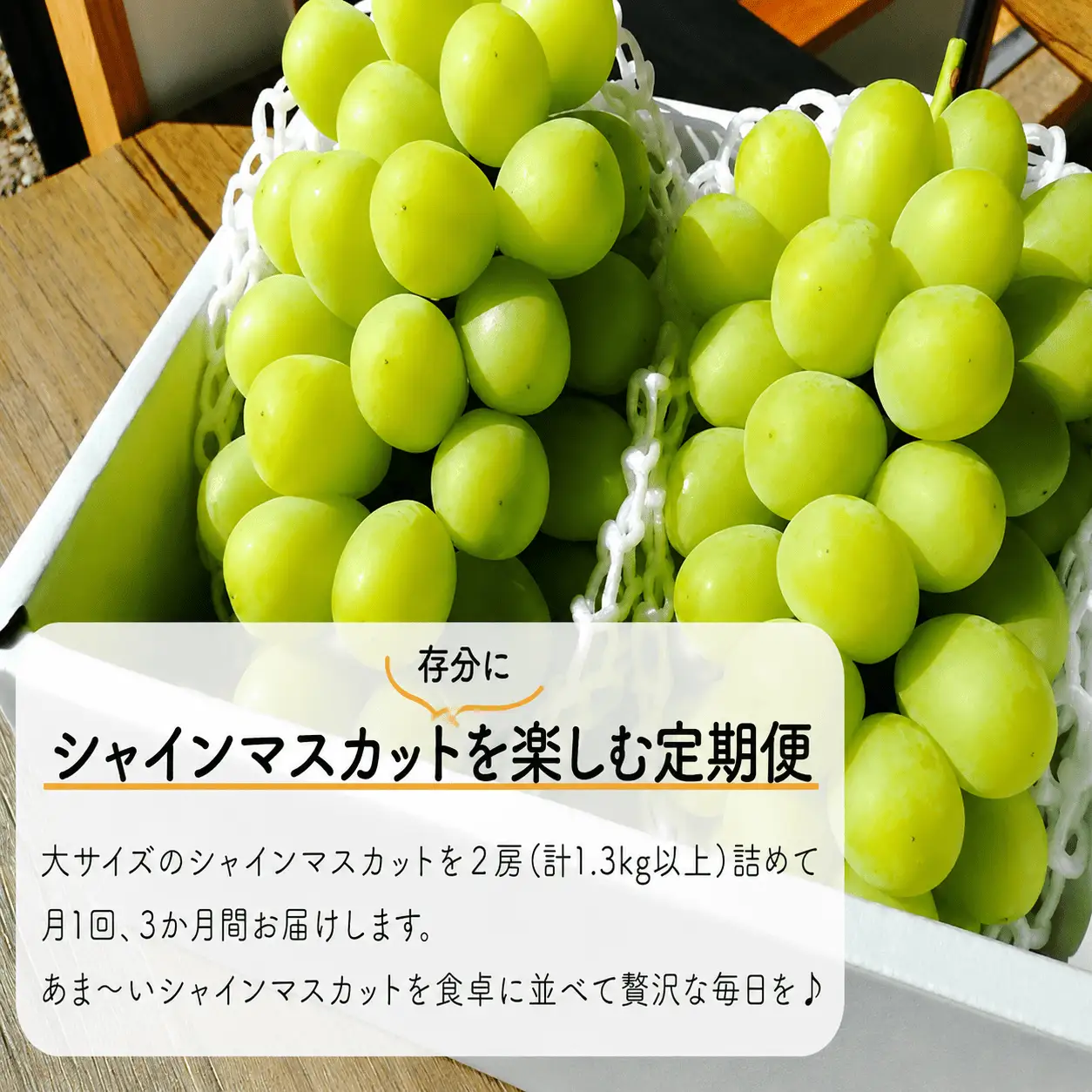 【３回定期便】 シャインマスカット 岡山県産特大シャインマスカット２房×3回/全便計3.9kg～ 【KF-T045-02】