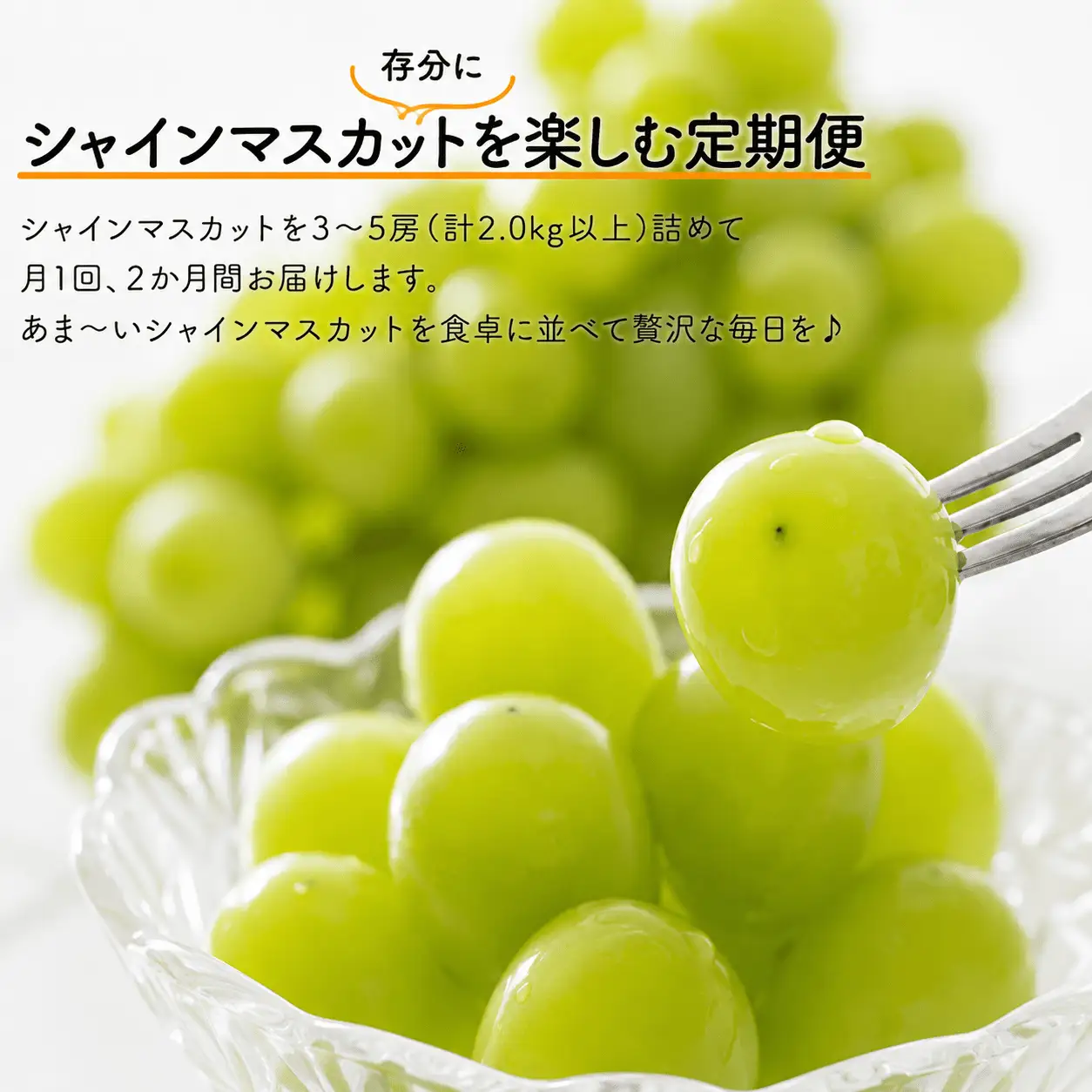 【２回定期便】 シャインマスカット 岡山県産シャインマスカット3-5房入×２回/全便計4.0kg～ 【KF-T046-03】