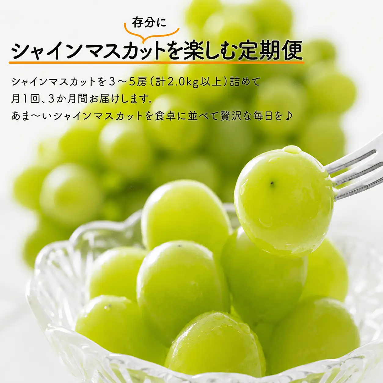 【３回定期便】 シャインマスカット 岡山県産シャインマスカット3-5房入×3回/全便計6.0kg～ 【KF-T047-03】