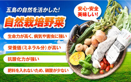 【一人暮らしに】自然栽培・旬の野菜詰め合わせ 五島市/ぷらっと農園 [PDS005]