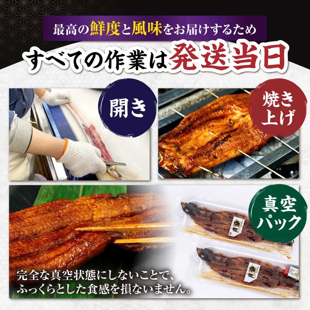 うなぎ満足セット[AQDF017] 鰻 セット
