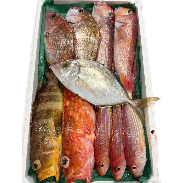 旬の鮮魚ＢＯＸお任せセット（竹）【鮮魚 約5kg 冷蔵 旬 魚 さかな 天然 天然魚 新鮮 地魚 産地直送 水揚げ次第発送 おまかせ セット 詰め合わせ お取り寄せ 大田市 和江漁港】