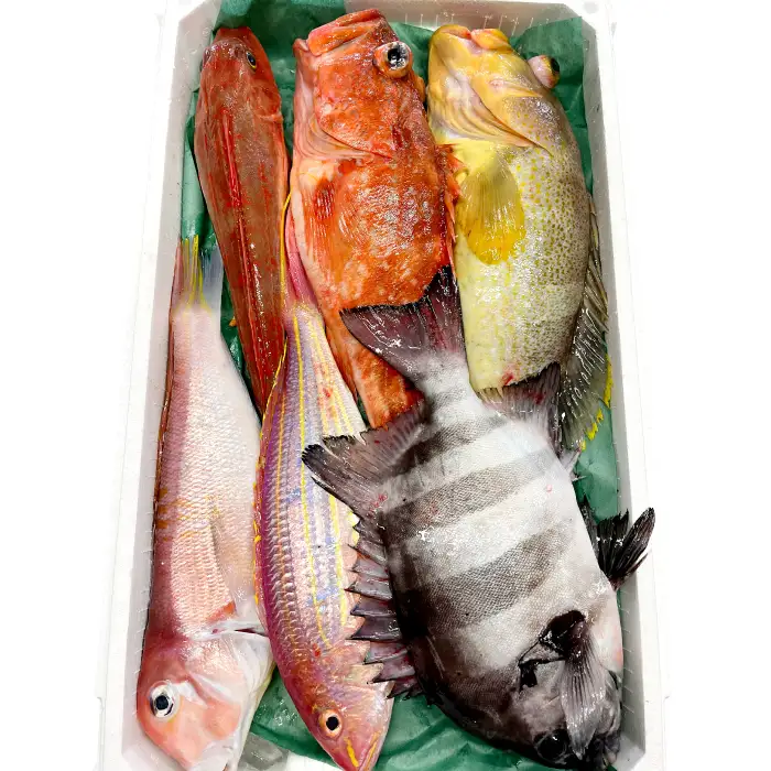 旬の鮮魚ＢＯＸお任せセット（松）【鮮魚 約5kg 冷蔵 旬 魚 さかな 天然 天然魚 新鮮 地魚 産地直送 水揚げ次第発送 おまかせ セット 詰め合わせ お取り寄せ 大田市 和江漁港】