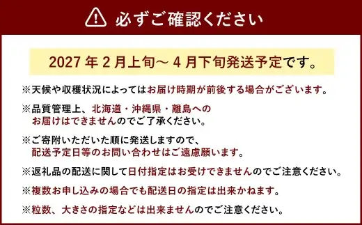 あまおう DX 約250-270g×2パック【2027年2月上旬～4月下旬発送予定】