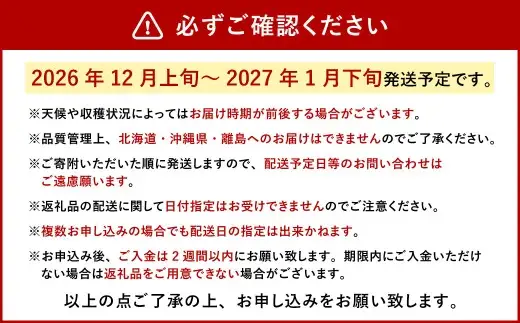 今季初採れあまおう 2パック【数量限定】【2026年12月上旬～2027年1月下旬発送予定】あまおう いちご イチゴ 苺 フルーツ 果物
