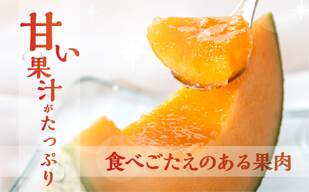 【先行予約】2027年6月お届け タカミレッド ２玉 水野農園 メロン