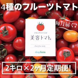 【2ヶ月定期便】【11月より順次発送】ドロップファームの美容トマトおまかせ2kg箱(４種ミックス)（CK-17）
