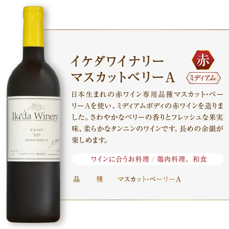 イケダワイナリー 2本セット【マスカットベリーA / グラン・キュヴェ シラー】（MG）B18-665【ワイン イケダワイナリー 赤ワイン 甲州市 山梨県】