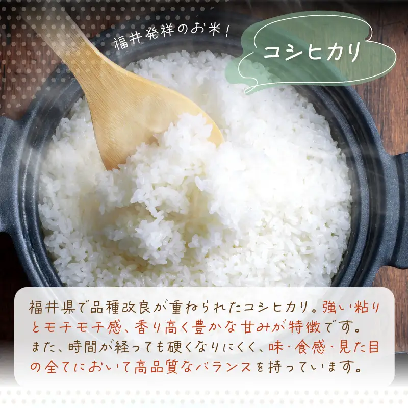 令和8年産 愛情たっぷり健やかに育った もちもち 甘い コシヒカリ（白米）5kg【新米 米】 [m29-a030]