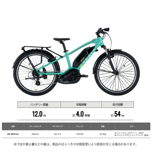 子供用電動アシスト自転車 XEALT SJFグリーン 自転車