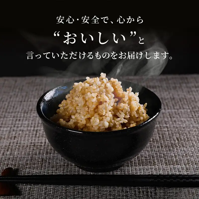 やまがた玄米パックごはん 150g×9個  (つや姫) ラベルレス 訳あり 山形 パックライス 備蓄 保存 FZ25-170