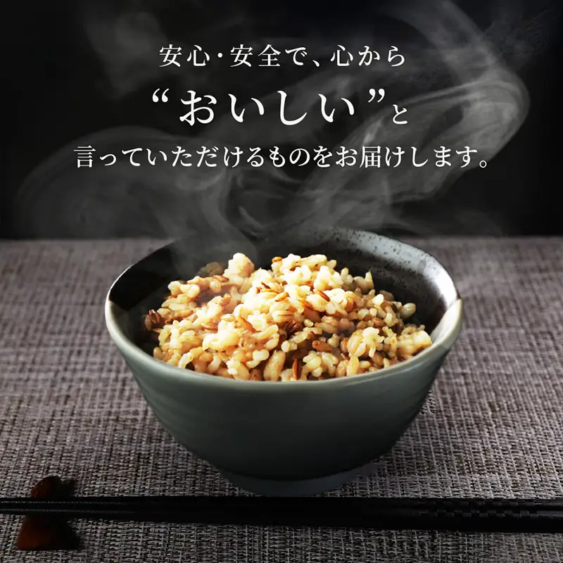 【定期便6回】やまがた雑穀玄米パックごはん 150g×9個 (つや姫・スーパー大麦・もち麦 3種ブレンド) ラベルレス 訳あり 山形 パックライス 備蓄 保存 パックライス FZ25-172
