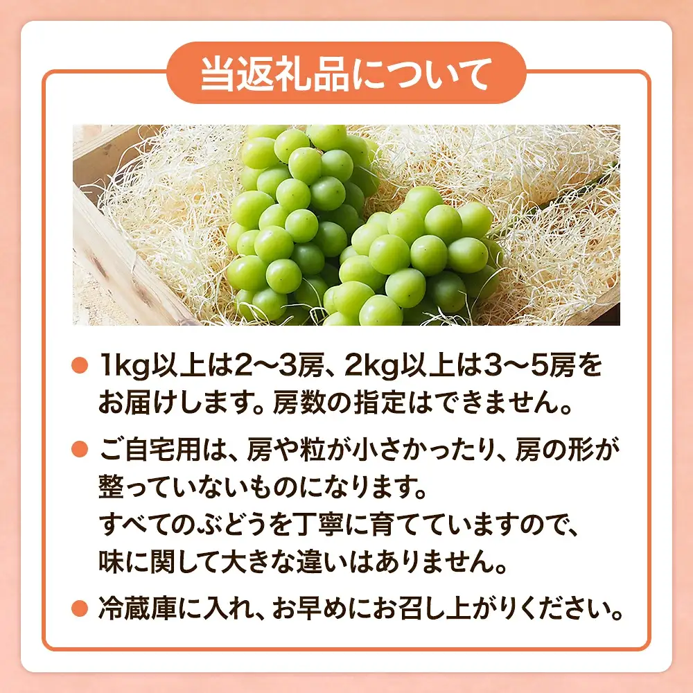 除草剤不使用の朝採れシャインマスカット 家庭用約2kg シャインマスカット フルーツ 【koko003-02】