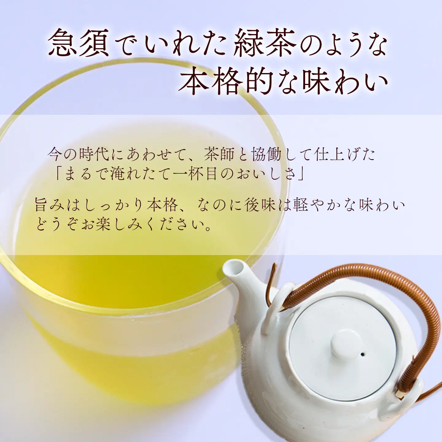 綾鷹 280mlPET_24本入り×1ケース｜お茶 ペットボトル
