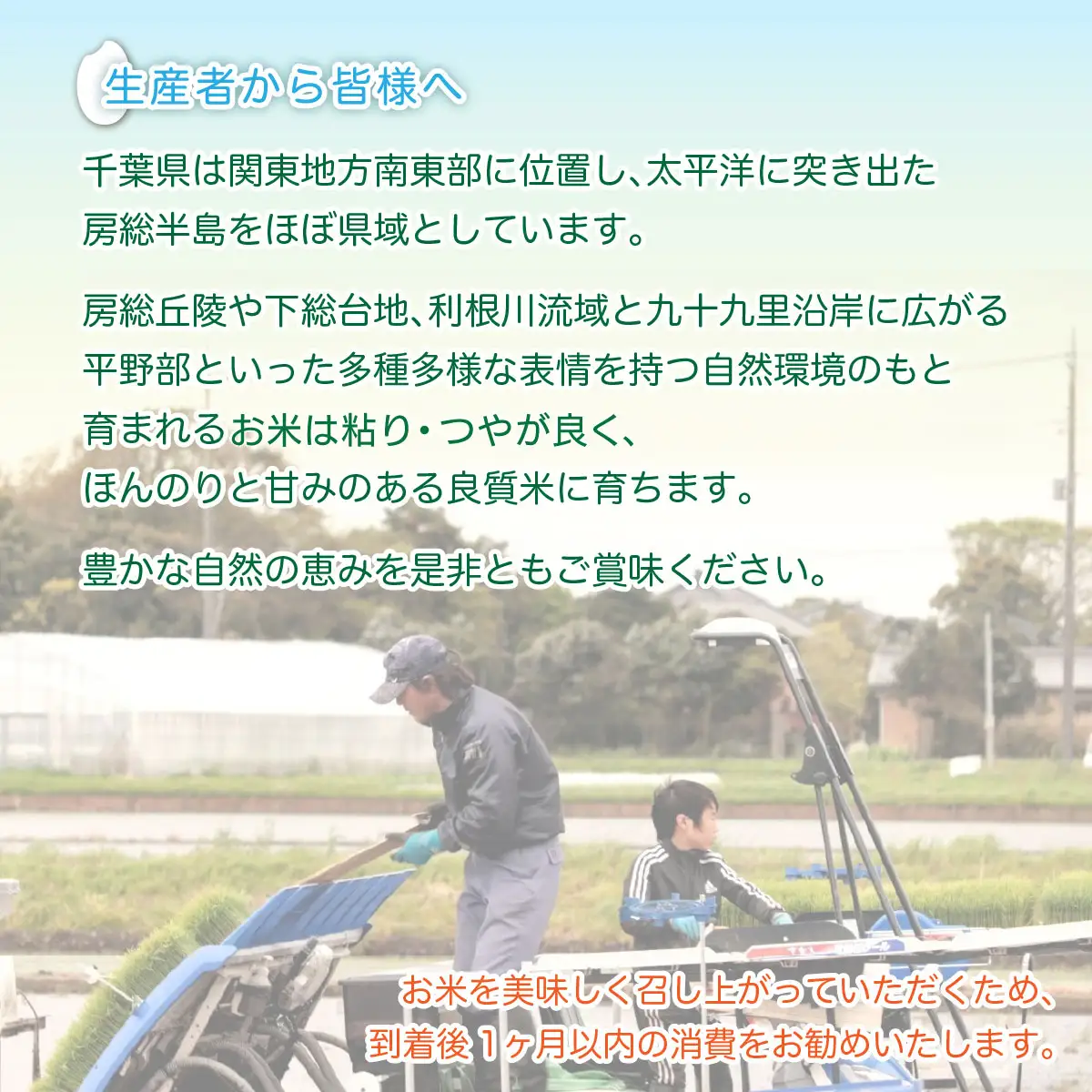 令和7年産　千葉県産ふさこがね 精米 10kg(5kg×2袋) MBAD004
