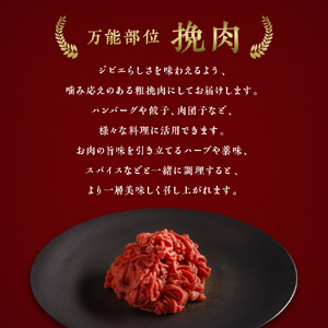大槌鹿 粗挽肉 400g【ハンバーグ・餃子・ミートボールに】岩手県産 天然鹿 鹿肉 挽肉 ミンチ ジビエ ヘルシー 低カロリー 冷凍 赤身