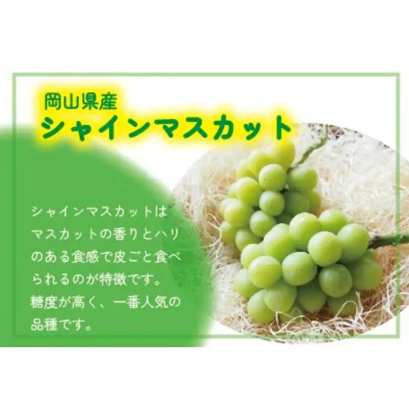 【2026年先行予約】 ここちとふぁーむ 【ギフト】 岡山県産 シャインマスカット 3～5房 2kg以上 【koko004-02】