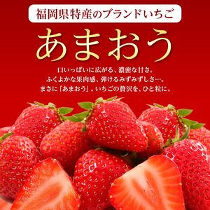 いちご 2027年2月より発送 うるう農園のあまおう大福キット(あまおう1パック＋大福6個セット) 果物 和菓子 生菓子 苺大福 フルーツ 和スイーツ 特別栽培 福岡県産 おやつ ※配送不可：離島
