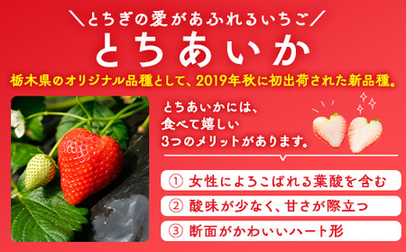 いちご（とちあいか） 290g×10パック 2.9kg以上 ｜  ※2026年11月～発送