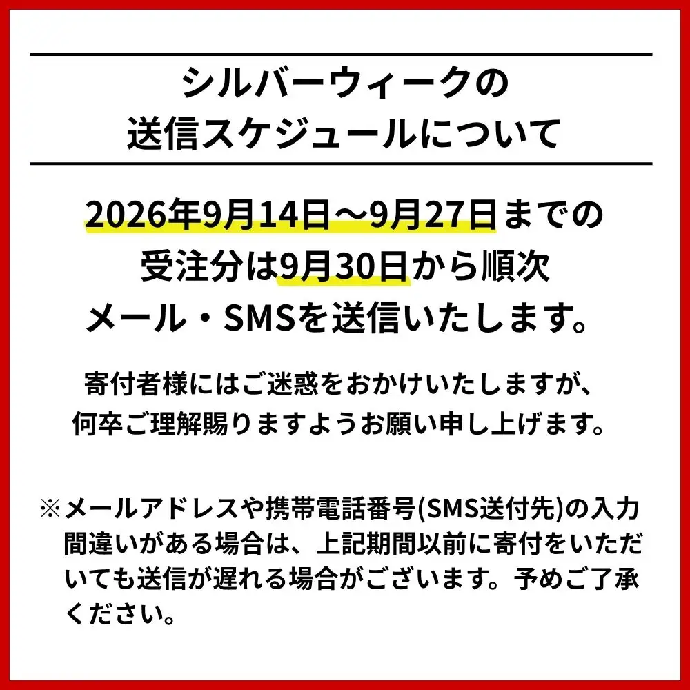 北海道札幌市　日本旅行　地域限定旅行クーポン60,000円分（Eメール発行）