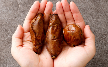 【鹿児島県 種子島産】安納芋 の 焼き芋 合計500g（100g×5パック） 芋 焼きいも おいも いも ZS-779
