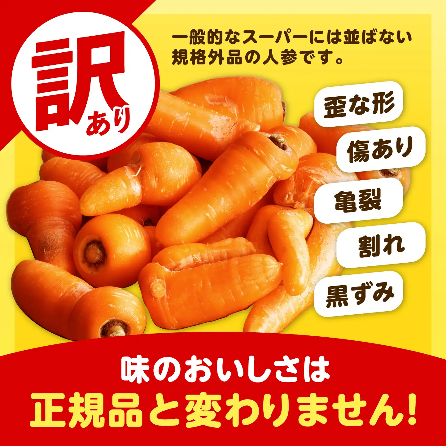 【先行予約】訳あり 北海道 にんじん 3kg 土付き[BEBA004]
