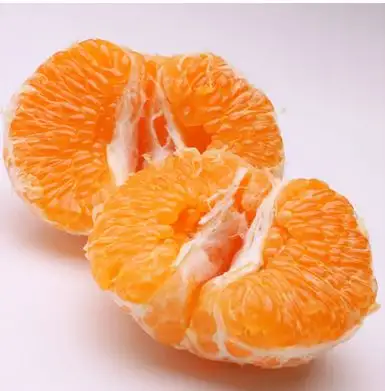 【先行予約】 家庭用 はるみ 訳あり 10kg+250g（傷み補償分）/ 春 みかん 光センサー選別 ※2027年2月上旬〜3月下旬ごろに順次発送予定 ※北海道・沖縄・離島への配送不可  【ikd013-c-10B】