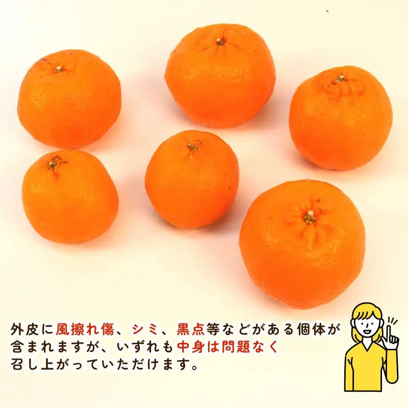 ポンカン 約5.5kg ～ 6kg ふるくとファーム かなこちゃん 先行予約 ポンカン B015-037010