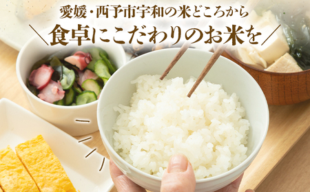  ＜令和7年度 米 あきたこまち 精米 5kg＞ 2025年産 単一原料米 単一米 5キロ 10キロ アキタコマチ お米 コメ こめ 白米 ご飯 ライス りの果樹園 愛媛県 西予市【常温】URK0016