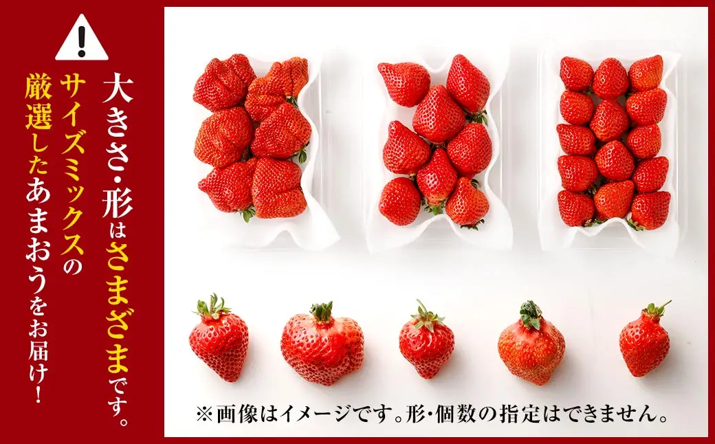 【3回定期便】博多 あまおう 2パック【2027年2月上旬～2027年4月下旬発送予定】