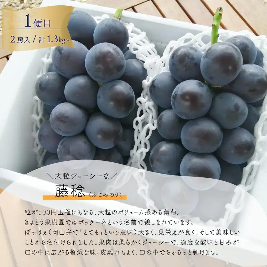 藤稔とシャインマスカットの人気セット! 各2.0kgの満足便!(定期便)(岡山県産) 【2026年先行予約】【KF-T052-04】