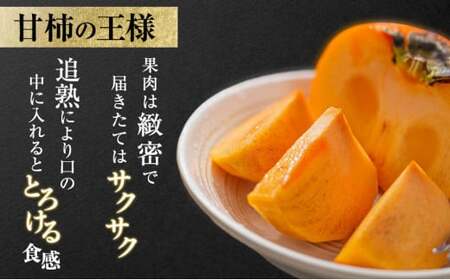 【先行予約】富有柿 贈答用 L×14個【富有柿の発祥の地 瑞穂市！！】※2026年11月～発送