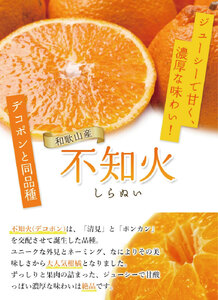 不知火 家庭用 7.5kg+250g（痛み補償分）/ みかん 訳あり しらぬい 光センサー 選別 デコポン 柑橘 晩柑 和歌山 甘い 18000円 / ※2027年2月上旬～4月上旬ごろに順次発送予定 ※北海道・沖縄・離島への配送不可 【ikd010-c-7d5C】