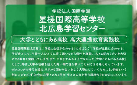 【お礼の品なし】 北広島市私立養育機関支援 (学校法人国際学園星槎国際高等学校北広島学習センター )  【寄付金額￥500,000】