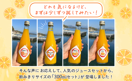 ＜一歩会 ジュエリーボックス ジュース飲み比べセット ミニ 300ml×4本入り＞ 愛媛 果汁 100% ジュース ストレートジュース みかんジュース セット 柑橘 飲料 オレンジ 特産品 渡江から一歩を踏み出す会 愛媛県 西予市【常温】『1か月以内に順次出荷予定』ATI0036