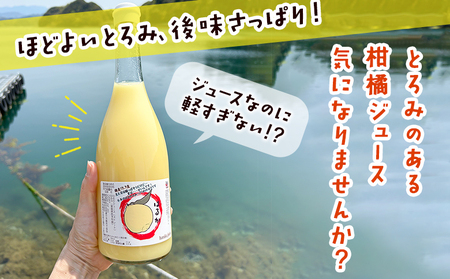 ＜はるかジュース 720ml×2本セット＞ 愛媛 果汁 100% はるか ジュース ストレート みかん じゅーす 100%ジュース セット 柑橘 果物 フルーツ 飲料 オレンジ 特産品 飲んで応援 渡江から一歩を踏み出す会 愛媛県 西予市【常温】『令和8年5月より順次出荷予定』ATI0037