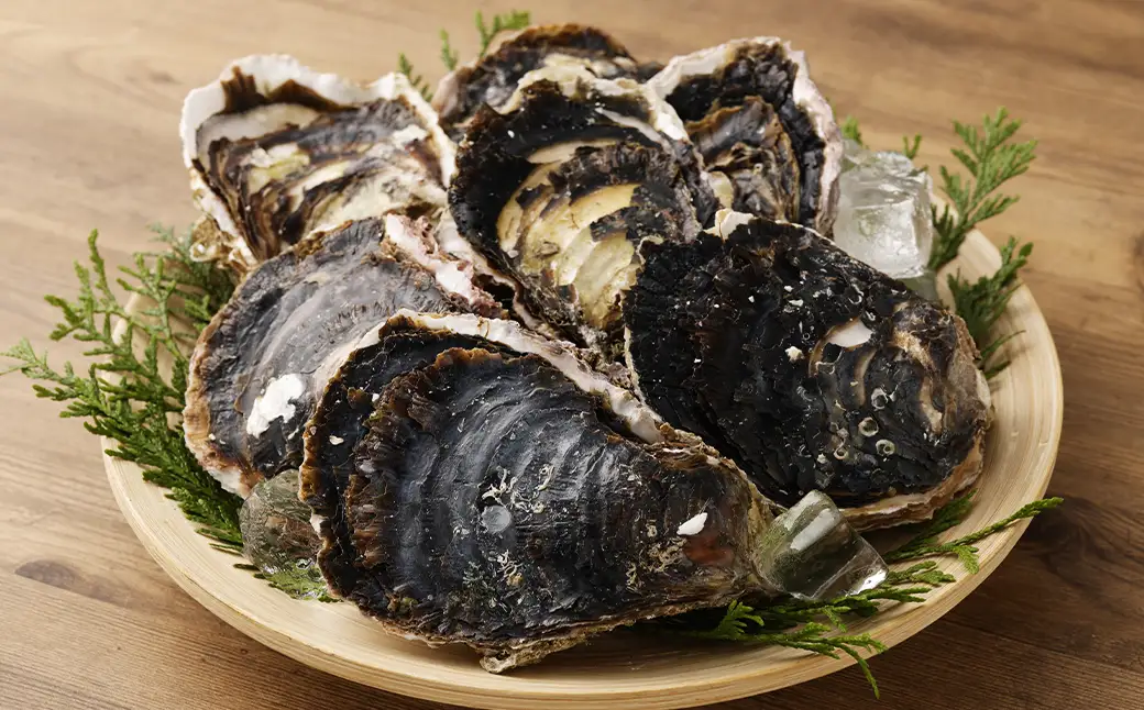 【指定日時必須】戸石産 岩牡蠣 計約2kg（生食用／カキナイフ付き）【2026年5月8日～8月31日迄発送予定】 牡蠣 カキ イワガキ 生牡蠣 長崎県 長崎市