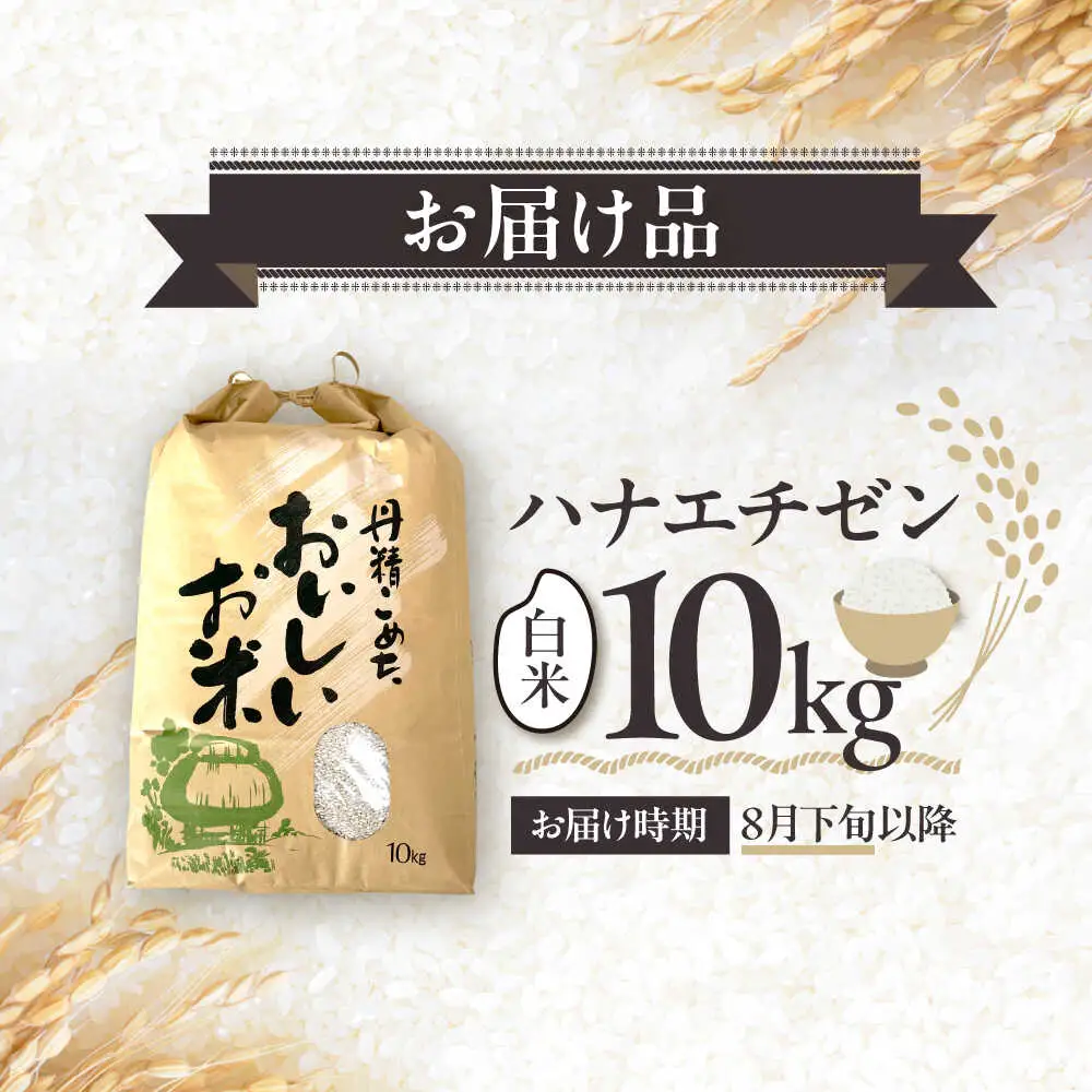 【令和8年産 新米】 【先行予約 / 8月下旬より順次発送 】 ハナエチゼン 白米 10kg / 米 お米 精米 小浜市 / 北川博司 [BFDG004]