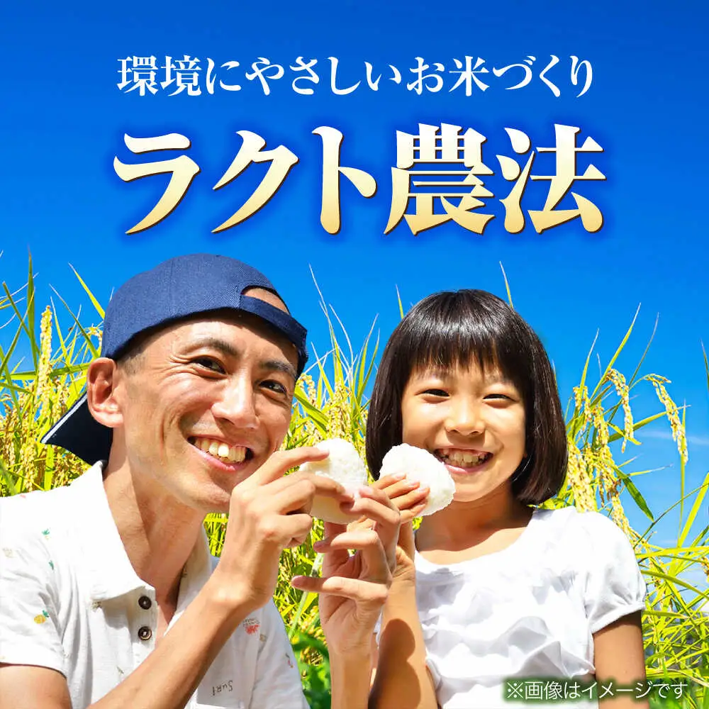 【令和8年産 新米】【 先行予約 /9月中旬から発送】　福井県産 ラクト農法 コシヒカリ 白米 10kg / 米 お米 精米 国産米   / 小浜市 / 北川博司 [BFDG006]