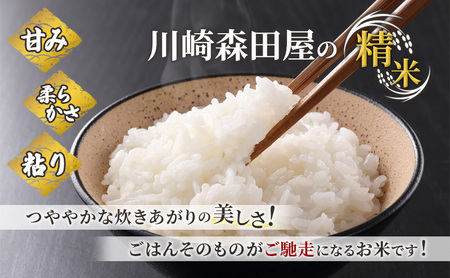 米 ゆめぴりか 精米 白米 令和7年産 3回 5kg 特A