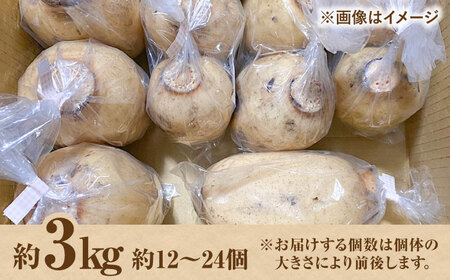 【2026年8月～発送】【野菜ソムリエサミット金賞】れんこん約3kg / れんこん [IDC003]
