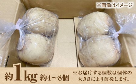 【2026年8月～発送】【野菜ソムリエサミット金賞】れんこん約1kg / れんこん [IDC001]