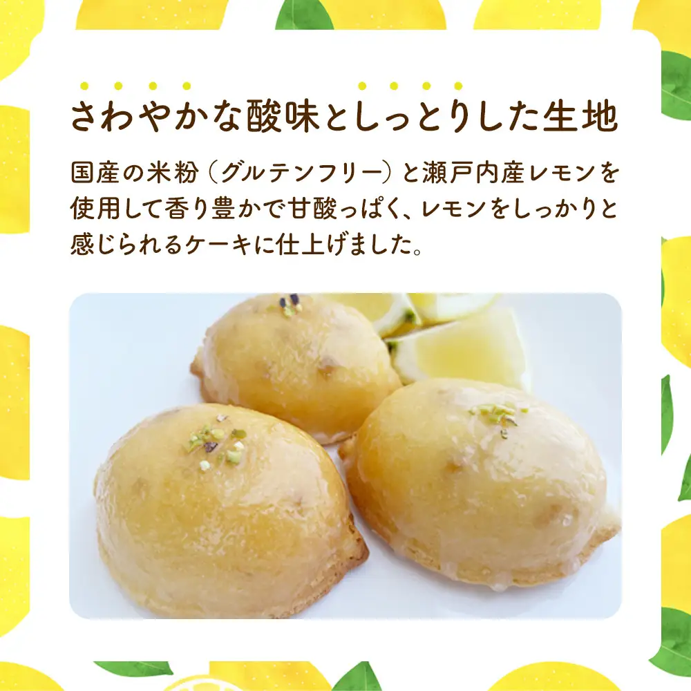 米粉レモンケーキ 10個入り