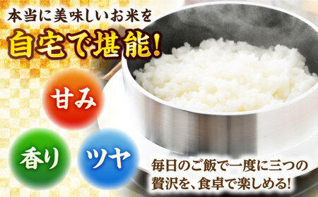 【定期便2回】【令和7年産】 福井県産こしひかり 精米 5kg 小浜市 / シマダ農園 [BFAV009]