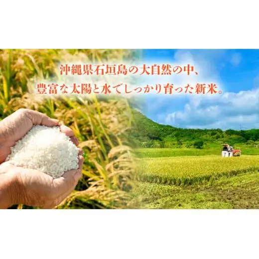 【石垣島産】日本最南端の日本一早い新米（清衛門）2kg×2袋 　TN-01