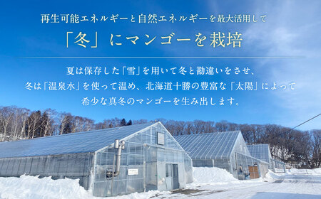 ［先行受付］おとふけ産マンゴー「白銀の太陽プレミアム」4Lサイズ×1玉【D26】《2026年11月上旬より発送開始予定》